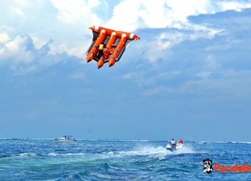 フライフィッシュ