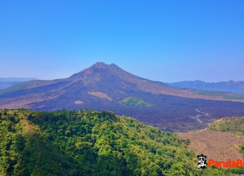 キンタマーニ高原