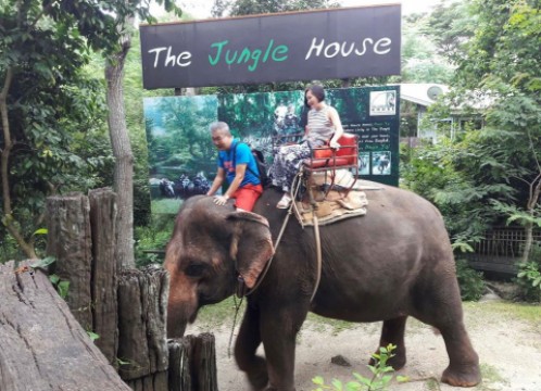 象乗りトレッキング