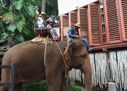象乗りトレッキング