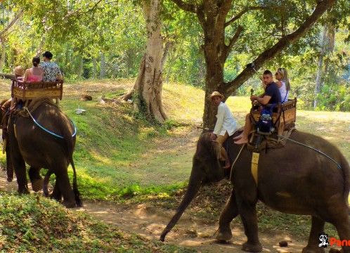 エレファントライド_04