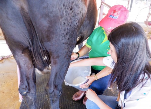 タイ・デンマークファーム