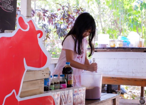 タイ・デンマークファーム