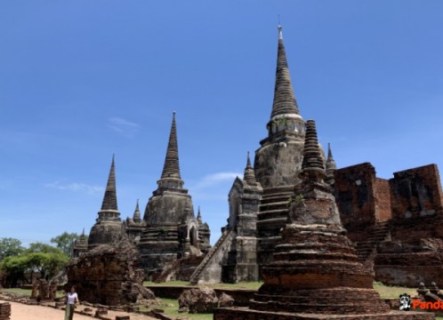 ワットプラシーサンペット