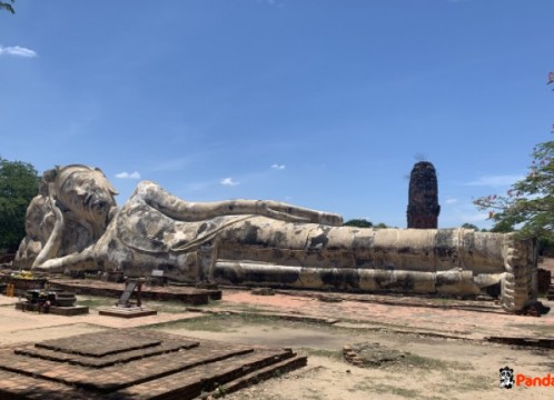 ワットロカヤスター