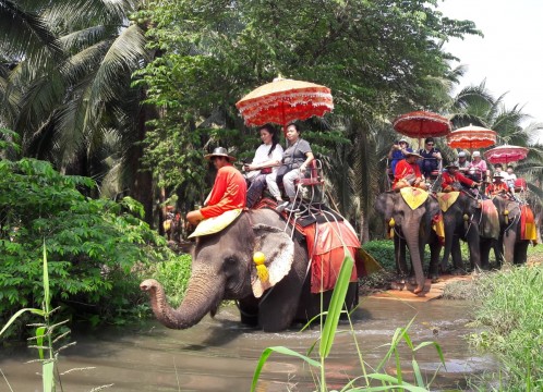 象乗り付きプラン