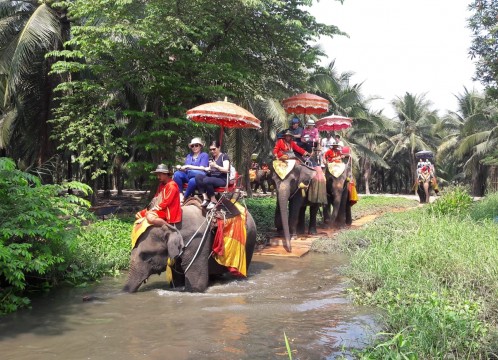 象乗り付きプラン