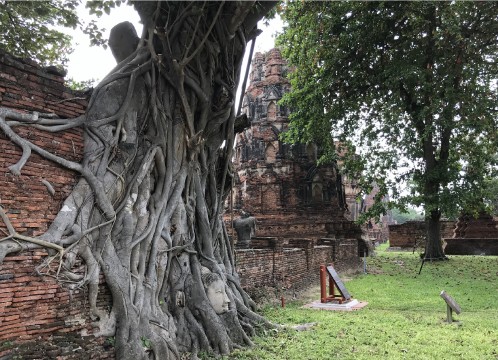 ワットマハタート