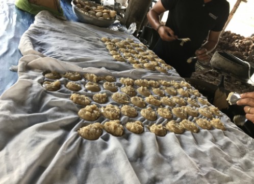 ココナッツファーム