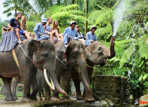 エレファントサファリ_03