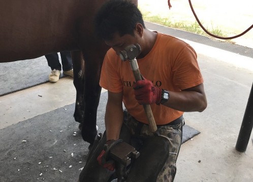 タイ・ポロ＆エクエストリアン