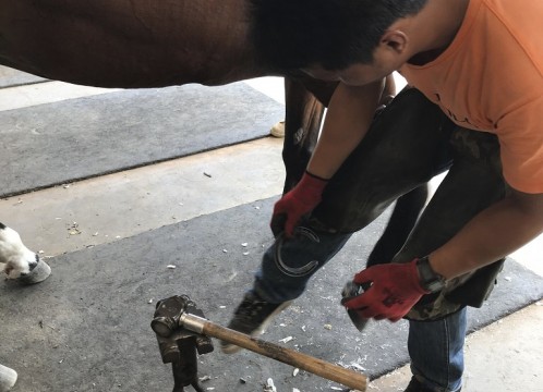 タイ・ポロ＆エクエストリアン