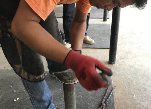 タイ・ポロ＆エクエストリアン