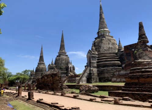 ワットプラシーサンペット