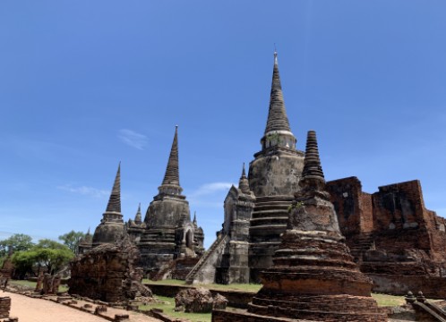 ワットプラシーサンペット