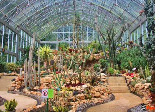 クブンラヤ植物園