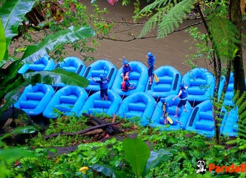 ラフティング_08