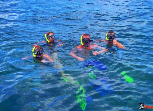 シュノーケリング