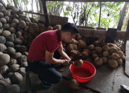 メコン川クルーズ観光
