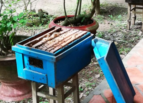 メコン川クルーズ観光