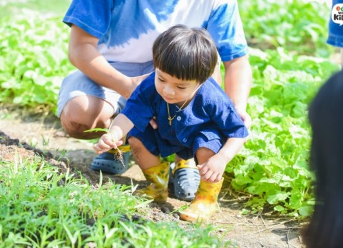 自然学習ファーム