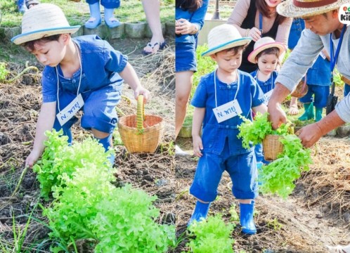 自然学習ファーム