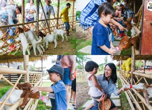 自然学習ファーム