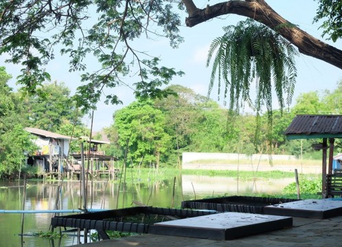 バーン 1,000 マイ カフェ＆ファーム