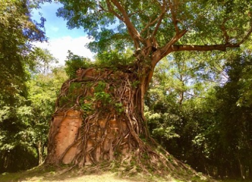 サンボープレイクック