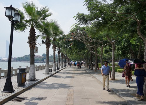 コロンス島 イメージ