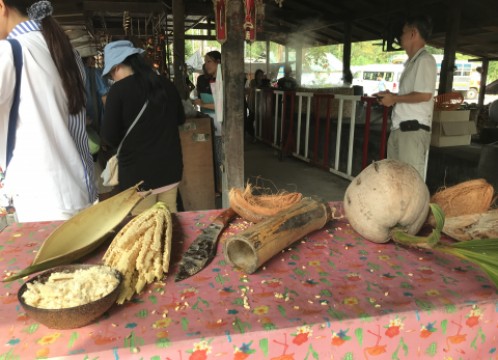 ココナッツファーム