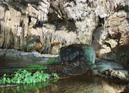 ハロン湾クルーズ