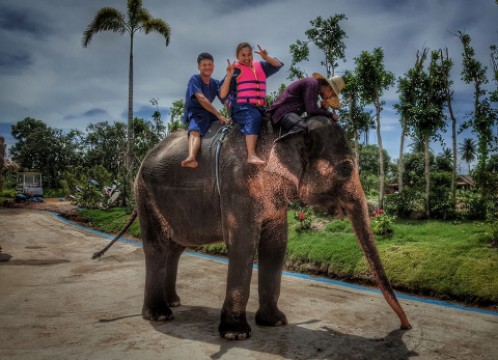 象乗り付きプラン