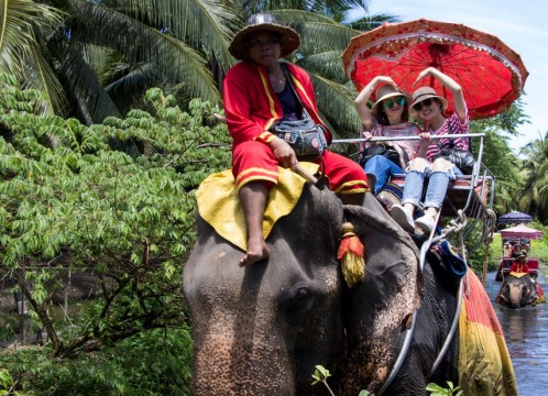 象乗り付きプラン