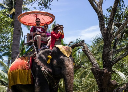 象乗り付きプラン