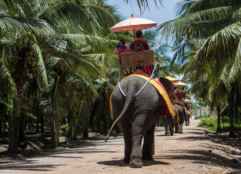 象乗り付きプラン