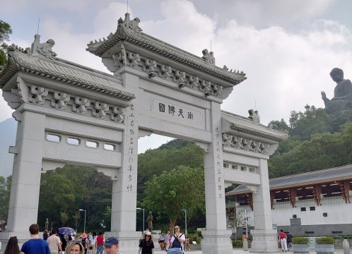 イメージ：ゴンピン