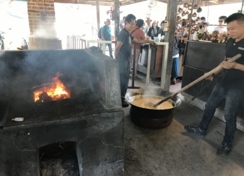 ココナッツファーム見学