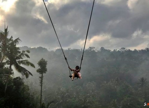 バリスウィング