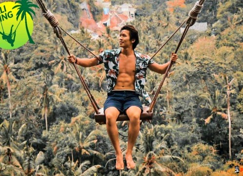 バリスウィング