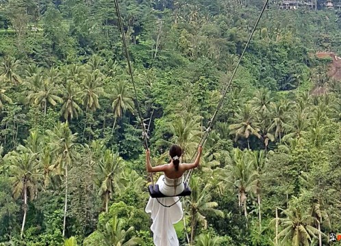 バリスウィング