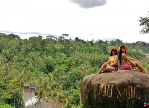 バリスウィング