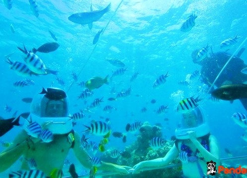 シーウォーカー