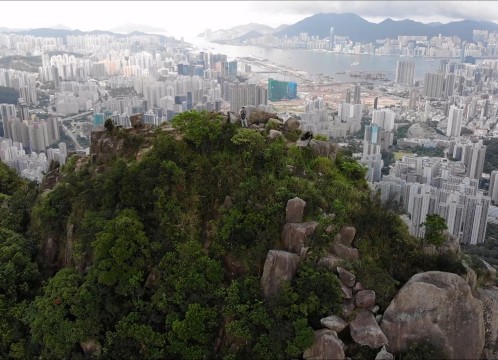 ライオンロック Lion Rock イメージ
