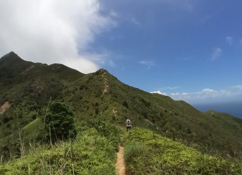 シャープピーク Sharp Peak イメージ