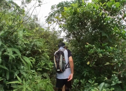 シャープピーク Sharp Peak イメージ