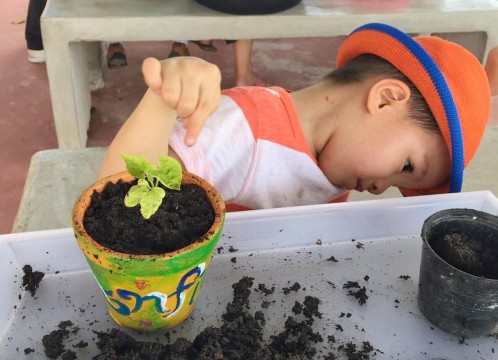 野菜を育てる & 鉢植えにペイント体験