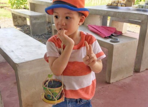 野菜を育てる & 鉢植えにペイント体験