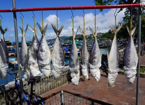 観光イメージ：長洲内