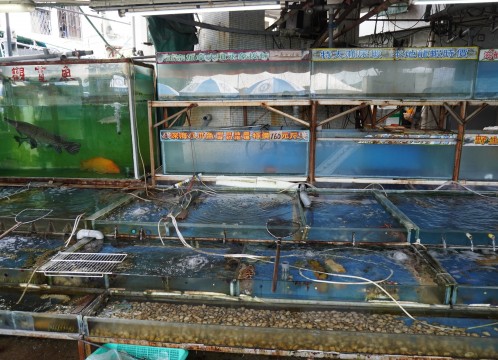 観光イメージ：長洲内